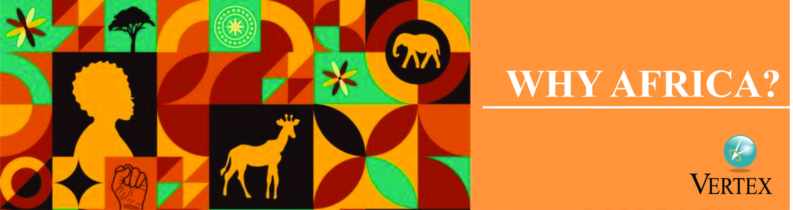 Why Africa banner image illustration